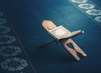 Prelijepa dova za popravak svakog stanja