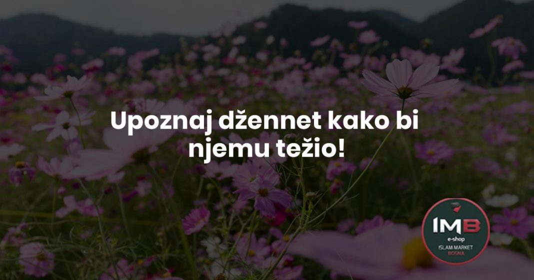 Deset Stvari Zbog Kojih ete Zavoljeti D ennet Ljepota Islama