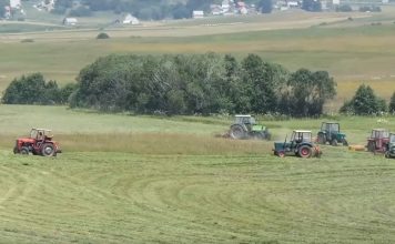Ovakvih komšija nema nigdje: Šest traktora iz šest kuća kosi jednu livadu