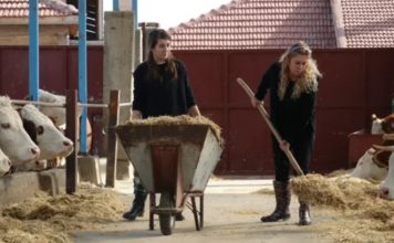 Svekrva i snaha zajedno pokrenule biznis: Ostavile menadžerske karijere i otvorile farmu krava