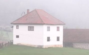 Sedam snaha izabrao svekar i svi žive u slozi (VIDEO)