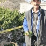 Snimka-zaslona-2025-05-08-154143-1