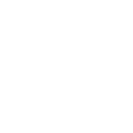 blank