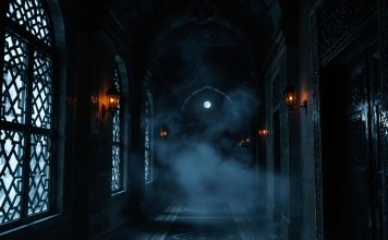 DŽINN OTKRIVA: ‘Zbog ovoga ulazimo u kupatilo, a vi ne znate!’