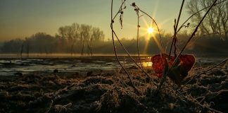 Oni neće ući u džennet, zato nemoj biti jedan od njih - N-UM.com - featured image