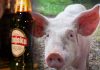 Šta je veći grijeh, konzumirati alkohol ili svinjetinu? - featured image
