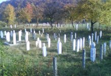 Značenje hadisa: „Trećina umrlih ljudi u mezarima je zbog uroka“ - featured image