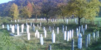Značenje hadisa: „Trećina umrlih ljudi u mezarima je zbog uroka“ - featured image