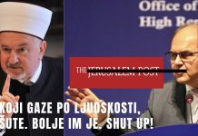 DR. CERIĆ PORUČIO SCHMIDTU I JERUSALEM POSTU: Gdje je bila Njemačka kada je Bosna primila Jevreje 1492? - featured image