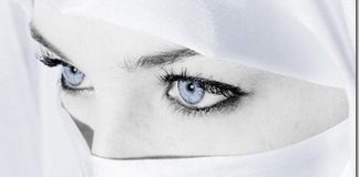 Svaki vjernik će u Džennetu imati 4971 ženu. (Video koji dokazuje taj podatak) - featured image