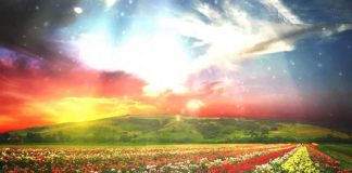 Dokaz da će svi muslimani u Dženet… - featured image