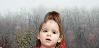 Tužilaštvo pri kraju istrage: Posljednja analiza odlučuje o slučaju ubistva malene Danke Ilić - featured image