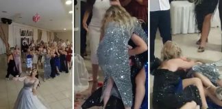 Bitka za buket: Snimak s vjenčanja u BiH je hit, tri dame se valjaju po podu... - featured image