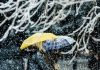 Meteorolozi objavili kakva nas zima čeka: Ovakvo nešto nismo dugo imali - featured image