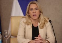 ČEGA SE PLAŠI ŽELJKA CVIJANOVIĆ: Sada traži ono što je SNSD godinama izbjegavao! - featured image