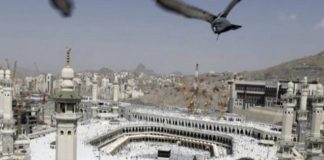 POJAVILE SE PTICE EBABIL KOJE SE SPOMINJU U KUR’ANU / VIDEO - featured image