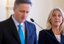 SKRIVENA UPOZORENJA: Cvijanović odbacuje Bećirovićev plan, ali ključni dio ostavlja u magli - featured image