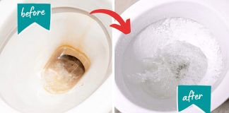 Upotrijebite 1 TABLETU i vaš će WC izgledati potpuno novo: Savjet za kućanstvo za koji do sada nisam znao! - featured image