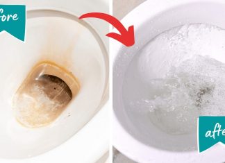 Upotrijebite 1 TABLETU i vaš će WC izgledati potpuno novo: Savjet za kućanstvo za koji do sada nisam znao! Upotrijebite 1 TABLETU i vaš će WC izgledati potpuno novo: Savjet za kućanstvo za koji do sada nisam znao! - featured image