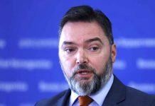 PUKLA BRUKA: Staša Košarac u centru skandala - featured image