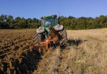 DEDO, A ZAŠTO NE OREŠ TAJ DIO ZEMLJE: “Sine, iako si musliman, nemoj to zaoravati, tu je nekada Srbin slavu slavio.” - featured image