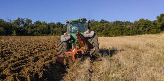 DEDO, A ZAŠTO NE OREŠ TAJ DIO ZEMLJE: “Sine, iako si musliman, nemoj to zaoravati, tu je nekada Srbin slavu slavio.” - featured image