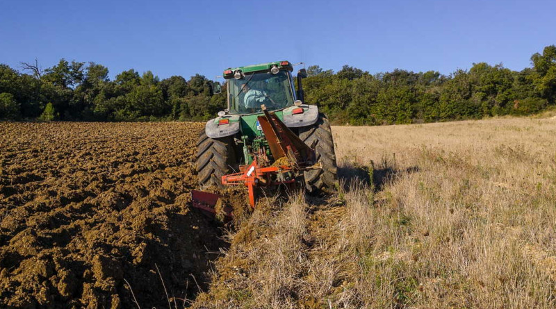 DEDO, A ZAŠTO NE OREŠ TAJ DIO ZEMLJE: “Sine, iako si musliman, nemoj to zaoravati, tu je nekada Srbin slavu slavio.” - featured image DEDO, A ZAŠTO NE OREŠ TAJ DIO ZEMLJE: “Sine, iako si musliman, nemoj to zaoravati, tu je nekada Srbin slavu slavio.” - featured image