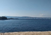 Turista iz Srbije: “Evo, već 11 dana čekam na Braču da me neko prebije, zapali auto, naplati pizzu 60 eura. Hrvatska je…” Turista iz Srbije: “Evo, već 11 dana čekam na Braču da me neko prebije, zapali auto, naplati pizzu 60 eura. Hrvatska je…” - featured image