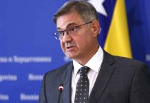 ZVIZDIĆ PALI ALARM: BiH suočena s ozbiljnom prijetnjom - featured image