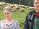 Hasan i kćerka Azemina brinu o 500 ovaca: “Nije me sramota ovog posla, sramota je ukrasti” - featured image