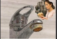 Trik za ČIŠĆENJE KAMENCA se širi kao zaraza: Srpska influenserka otkrila caku – ne treba vam NI VODA, samo 1 stvar koju SVI imamo - featured image