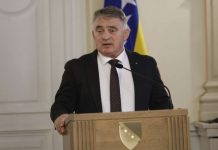 KOMŠIĆEV DF ODABRAO: Kandidat za člana Predsjedništva BiH poznat - featured image