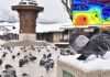 Meteorolog kojeg prati cijela regija objavio prognozu: Da li nas u januaru čeka jače zahlađenje? - featured image
