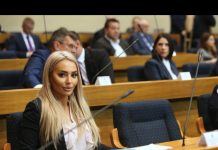 Nikolina Šljivić se prvi put oglasila u NSRS: Stevandić je brani, ona govori o biznisu - featured image