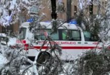 Ovo je majka dvoje djece koja je smrtno stradala na Grbavici nakon što je drvo palo na nju Ovo je majka dvoje djece koja je smrtno stradala na Grbavici nakon što je drvo palo na nju - featured image