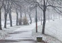 POTVRĐENO IZ MUP-a: Beživotno tijelo pronađeno u parku - featured image