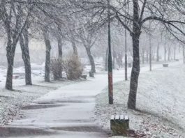 POTVRĐENO IZ MUP-a: Beživotno tijelo pronađeno u parku - featured image