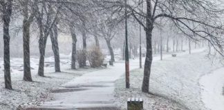 POTVRĐENO IZ MUP-a: Beživotno tijelo pronađeno u parku - featured image