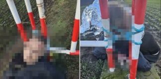 Kopao rupu da se spasi: Jezivi detalji monstruoznog zločina kod Vrbasa - featured image