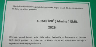 Velika bol: U 19. danu života preselio dječak Emil Grahović - featured image