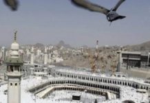 POJAVILE SE PTICE EBABIL KOJE SE SPOMINJU U KUR’ANU / VIDEO - featured image