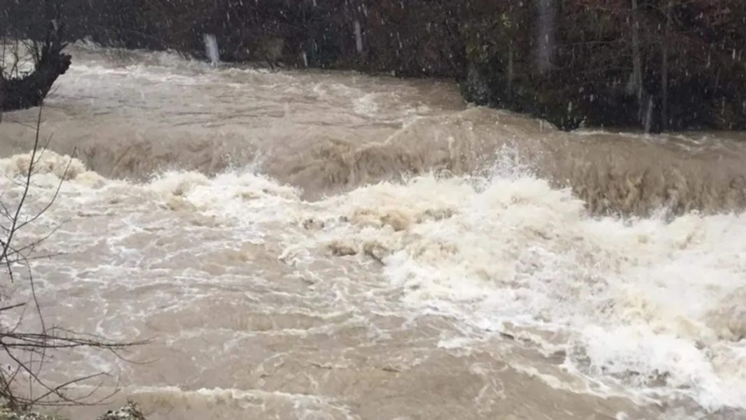 Sladić: Nismo odstranili višak snijega pa je došlo do poplava. Dobili smo šamar od prirode - featured image