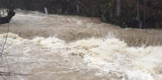 Sladić: Nismo odstranili višak snijega pa je došlo do poplava. Dobili smo šamar od prirode - featured image