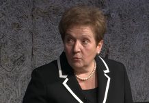 Ramić poručio Pendeš: Zašto vam smetaju ljiljani kao stoljetni simbol bosanske državnosti? - featured image