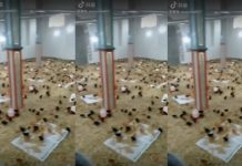 Šokantno: Kineske vlasti pretvorile džamiju u farmu pilića /VIDEO/ - featured image