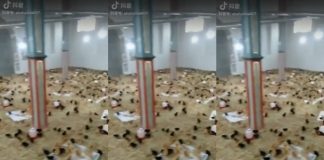 Šokantno: Kineske vlasti pretvorile džamiju u farmu pilića /VIDEO/ Šokantno: Kineske vlasti pretvorile džamiju u farmu pilića /VIDEO/ - featured image