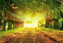 Ako ženska osoba bude pazila samo na ove četiri stvari, ući će u Džennet / Hadis - featured image