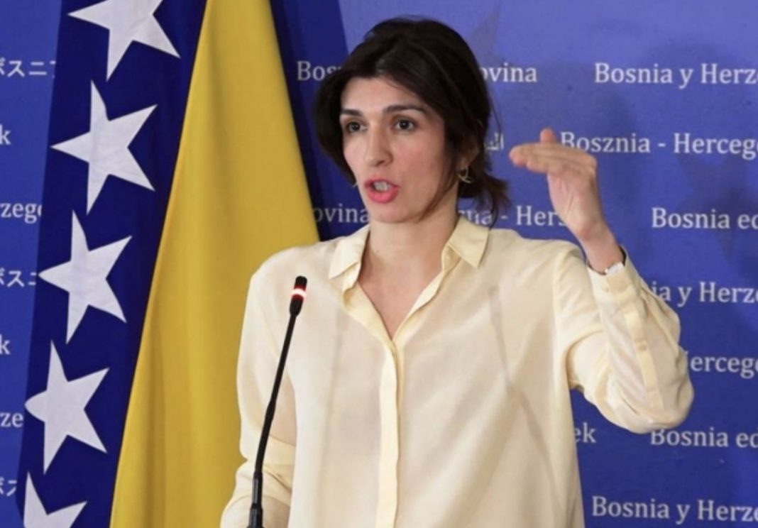 ĆUDIĆ SE VRATILA IZ AMERIKE: Tvrdi da BiH ima ozbiljan problem - featured image