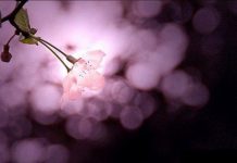 Ko želi da mu se u ovim ramazanskim danima nafaka poveća i život produži, neka čini sljedeće: - featured image