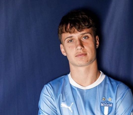 BiH dobija veliko pojačanje iz Švedske, razgovori sa Spahićem i Barbarezom bili su presudni - featured image